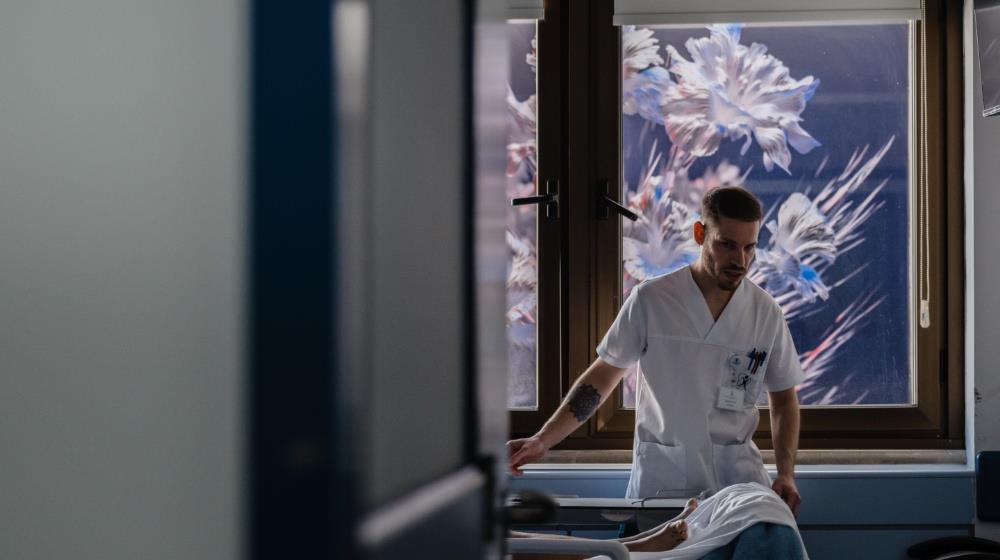 The Petal Drift Markos K Christodoulou