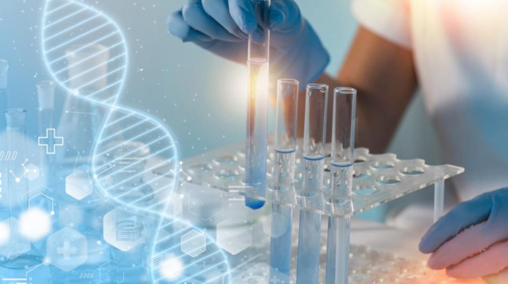 MixCollage-09-May-2025-10-53-AM-6649