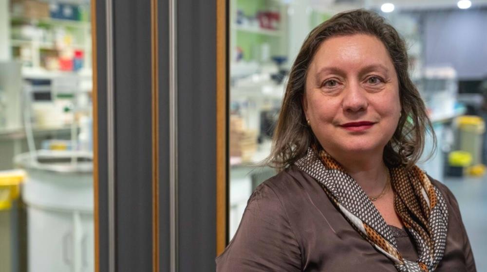 MixCollage-26-Jun-2025-09-58-AM-3760