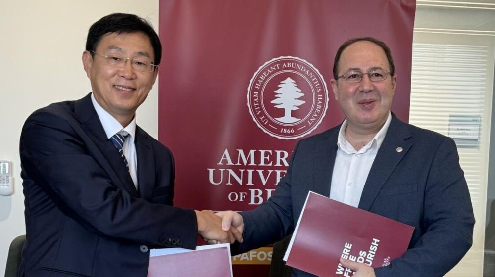 MixCollage-03-Jul-2025-10-18-AM-7678