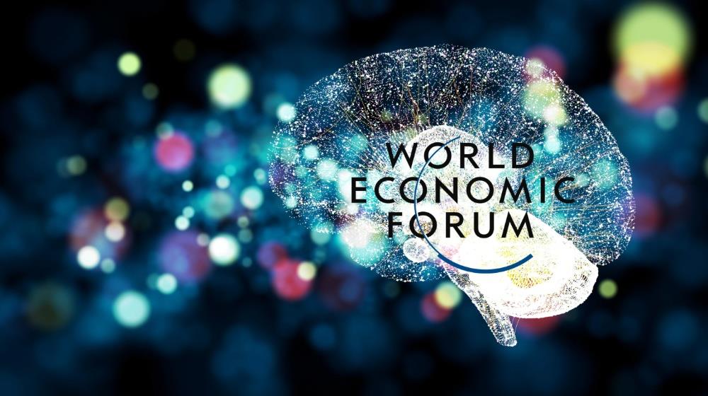 MixCollage-01-Jul-2025-11-09-AM-3169