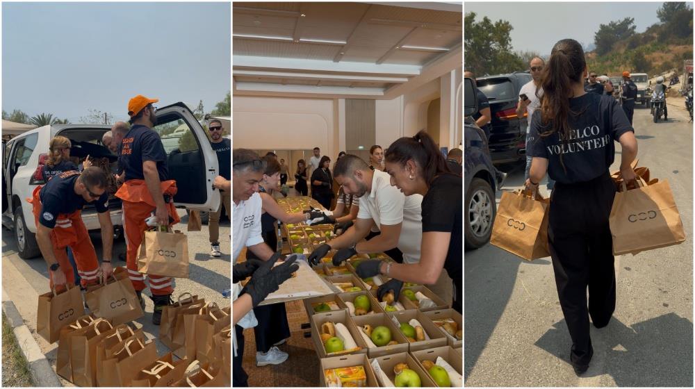 MixCollage-25-Jul-2025-09-54-AM-3481