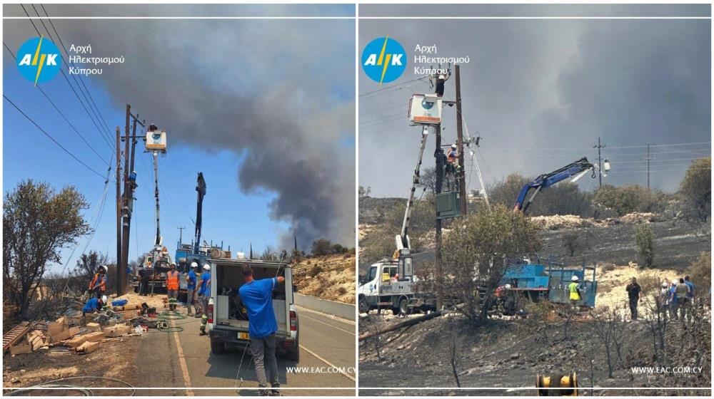 MixCollage-25-Jul-2025-08-32-AM-8000