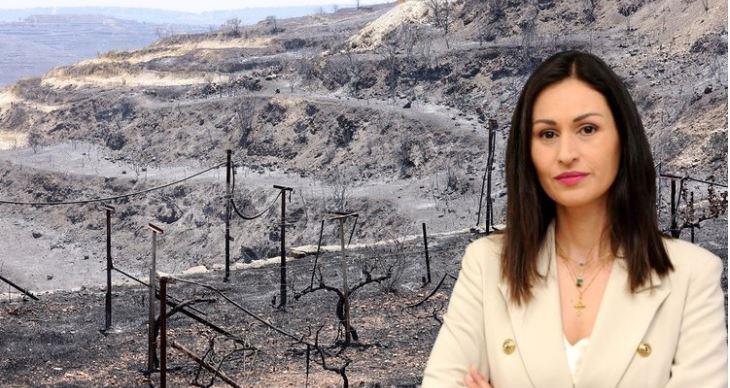 5231219060981788 Capture