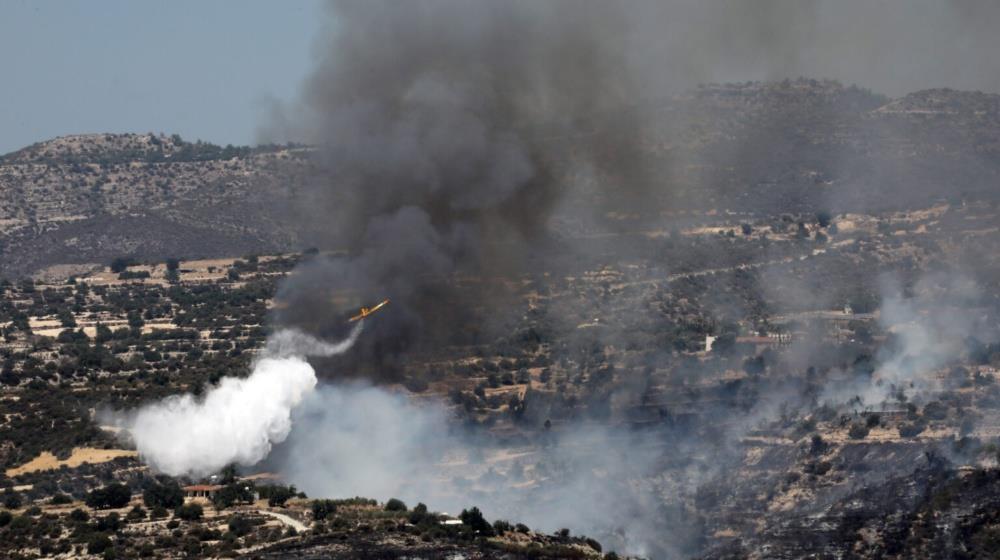 5237914731568687 MixCollage-07-Aug-2025-09-37-AM-3193