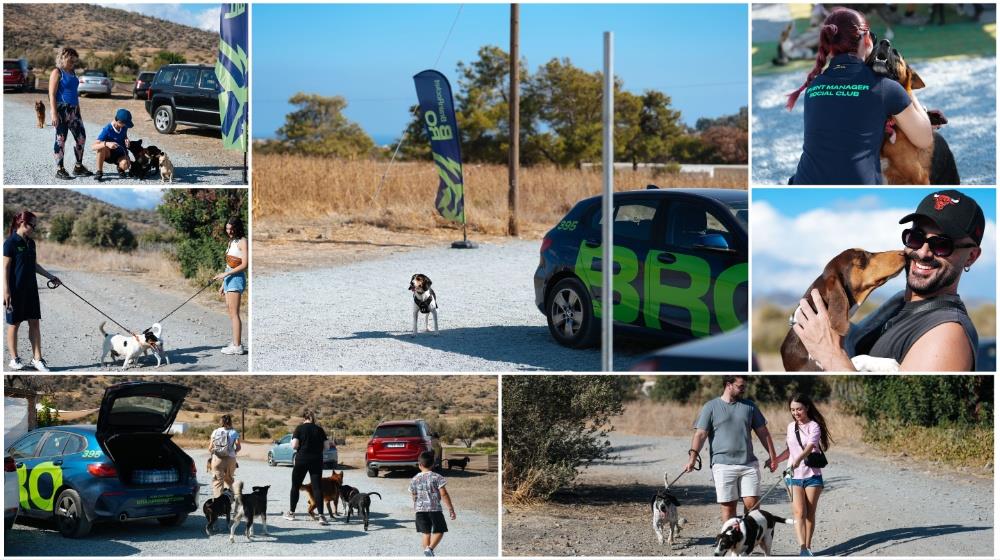 MixCollage-25-Sep-2024-10-09-AM-4926