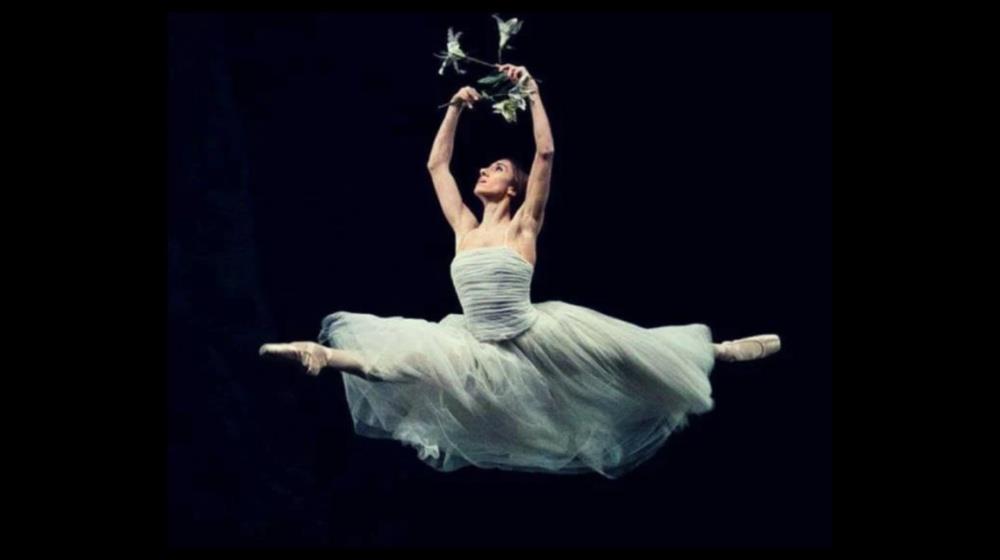 MixCollage-04-Sep-2024-10-04-AM-69