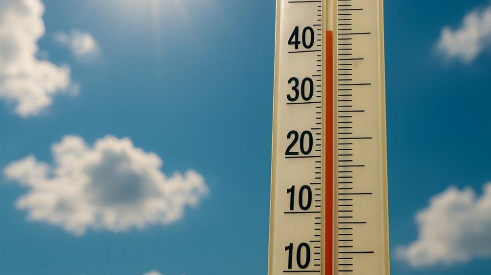 5244057241849330 7a8f10848cb3c534043d4db90e85fa7e