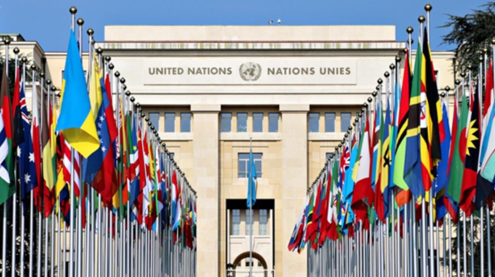 5256873489844933 MixCollage-29-Aug-2025-08-15-AM-9499