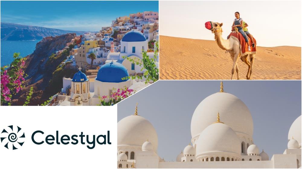 5261226046711062 MixCollage-03-Sep-2025-09-09-AM-4840