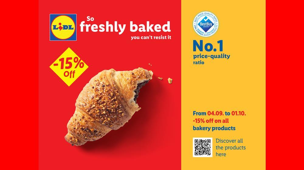 5262207652782943 880x660 EN (Copy)