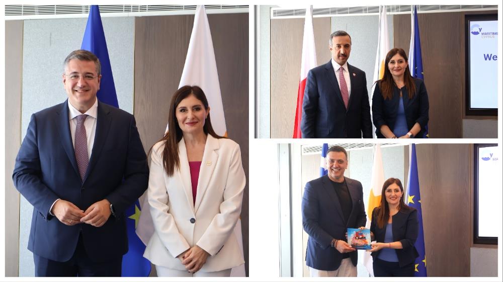 5291448058935058 Hadjimanolis