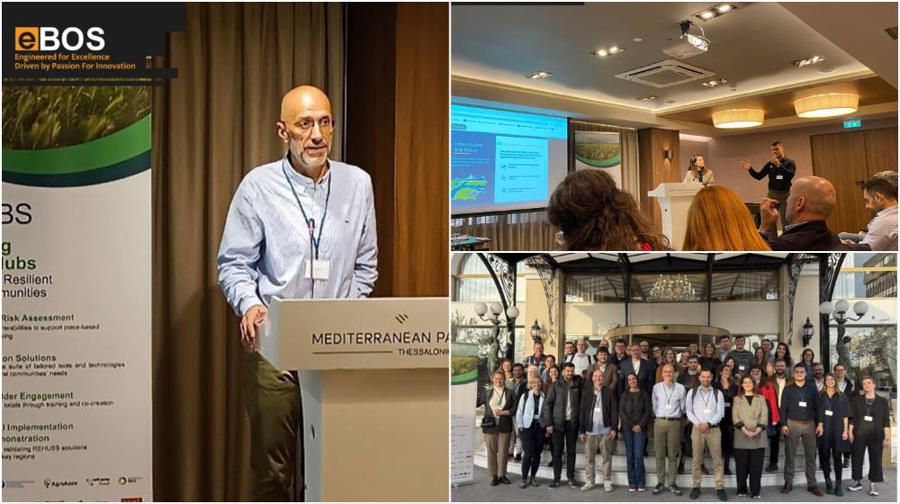 5311428004233219 MixCollage-31-Oct-2025-11-39-AM-9697