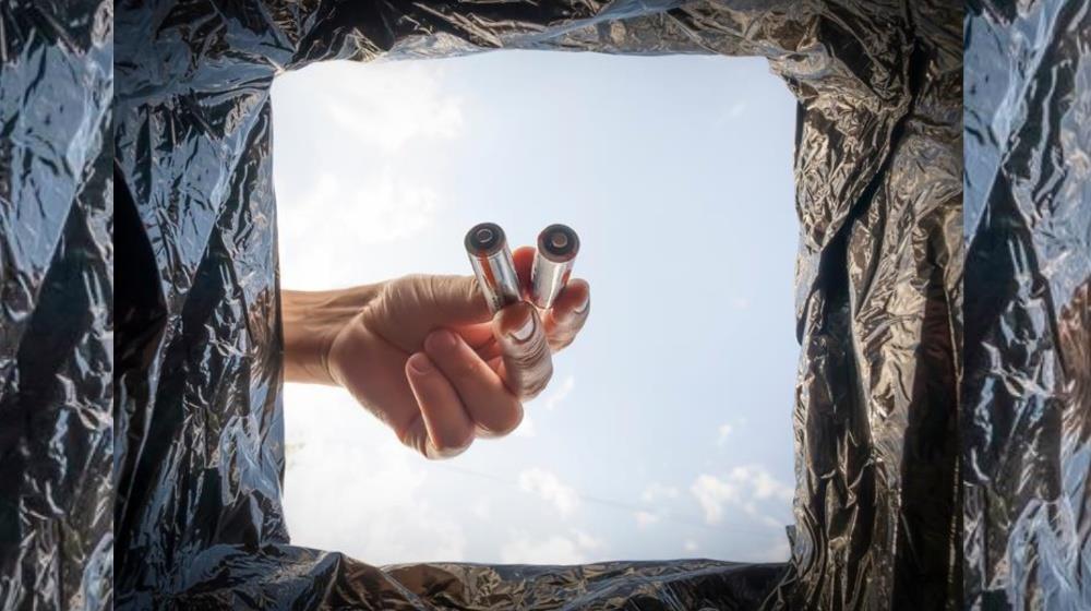 5313999213954603 MixCollage-03-Nov-2025-11-03-AM-9808