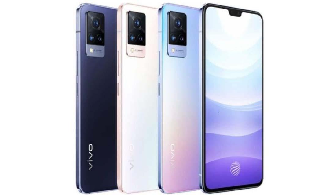 vivo