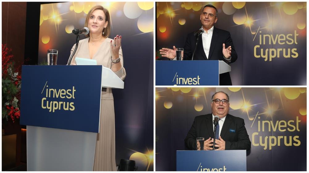 5341749219442494 Invest Cyprus 2