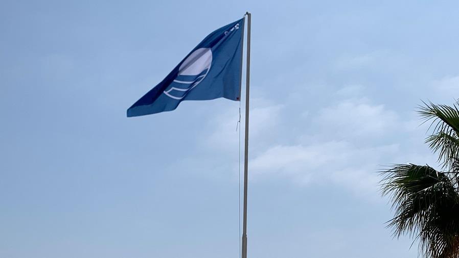 5537694120511310 Blue Flag