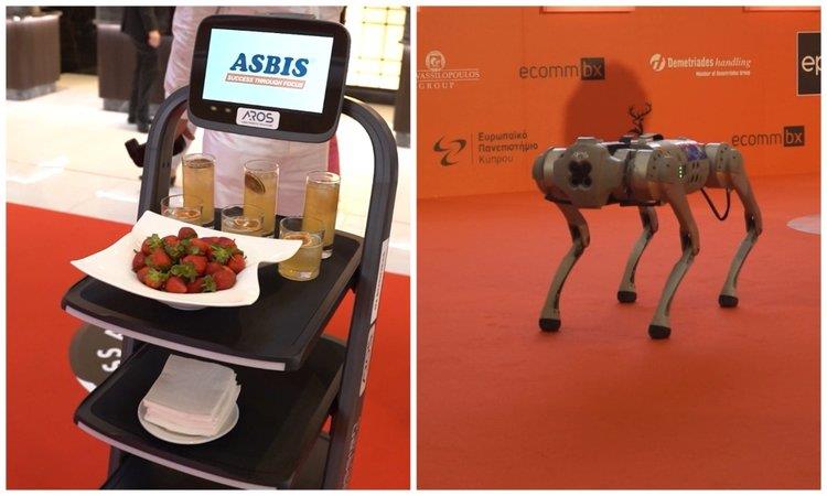 Collage_Maker-08-Jun-2023-01-54-PM-1813.width-750