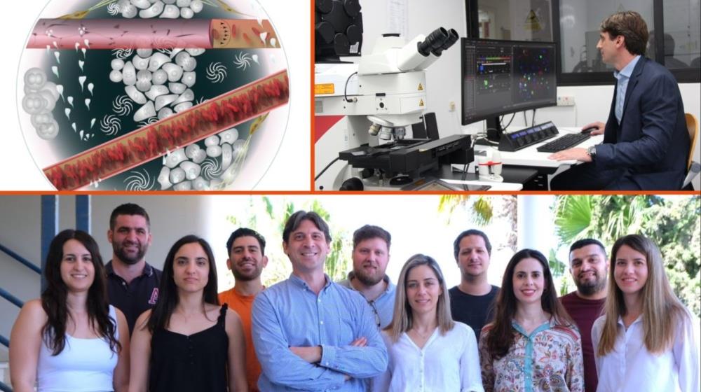 Collage Maker-13-Jul-2023-10-04-AM-3841