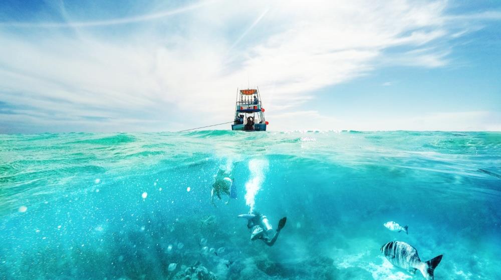 Collage Maker-07-Aug-2023-09-29-AM-7935