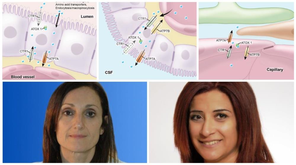 Collage Maker-31-Aug-2023-10-55-AM-9697