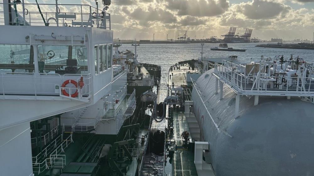 Collage Maker-23-Aug-2023-11-20-AM-5769