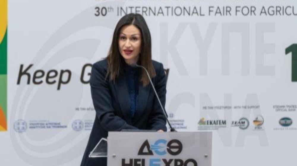 MixCollage-02-Feb-2024-10-58-AM-7526