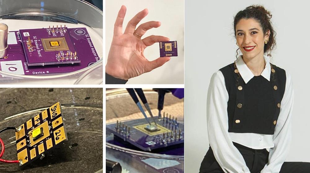 Joanna Patsalis_new with chips