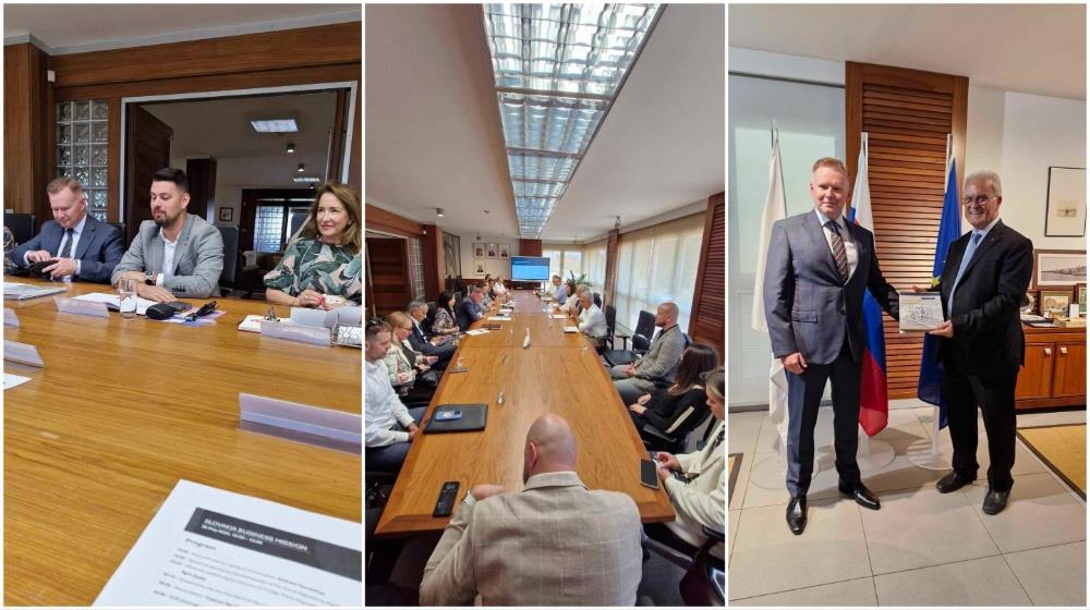 MixCollage-30-May-2024-08-46-AM-4666