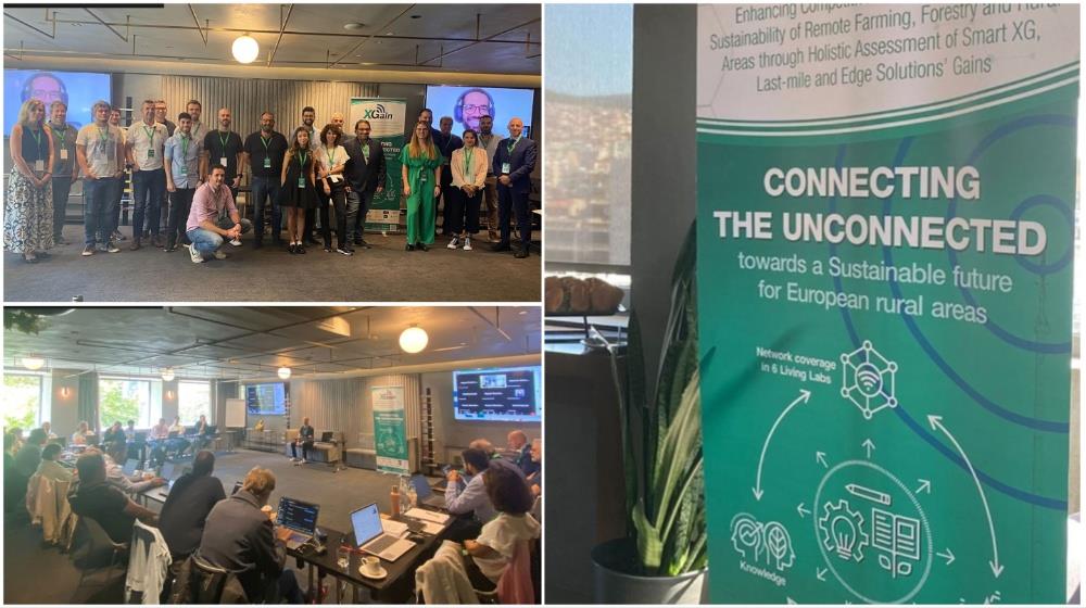 MixCollage-09-Oct-2024-02-29-PM-7063