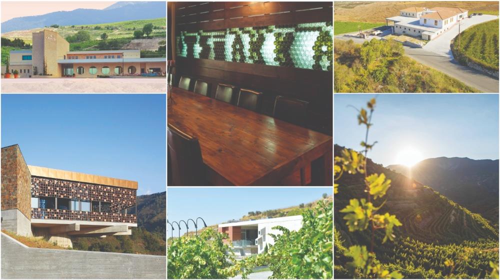 MixCollage-21-Feb-2025-03-24-PM-7823