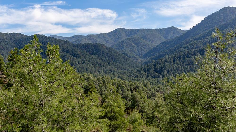 Eastern side of Troodos 1000 560