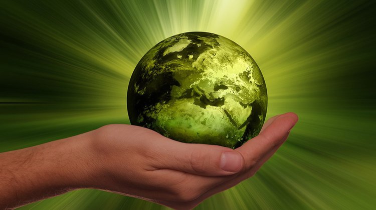 sustainability