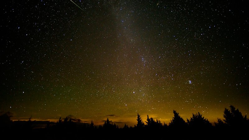 Perseids