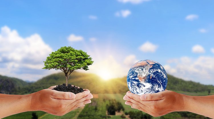 sustainability