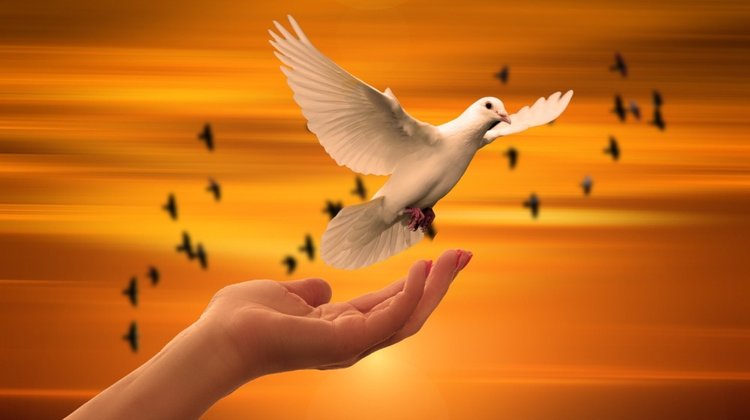 peace