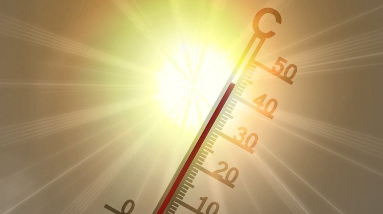 heat heatwave
