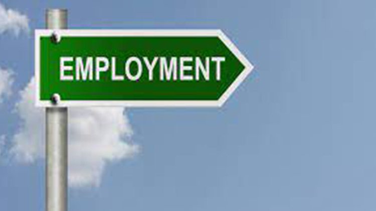 employment