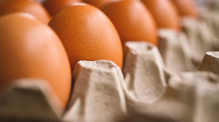 eggs