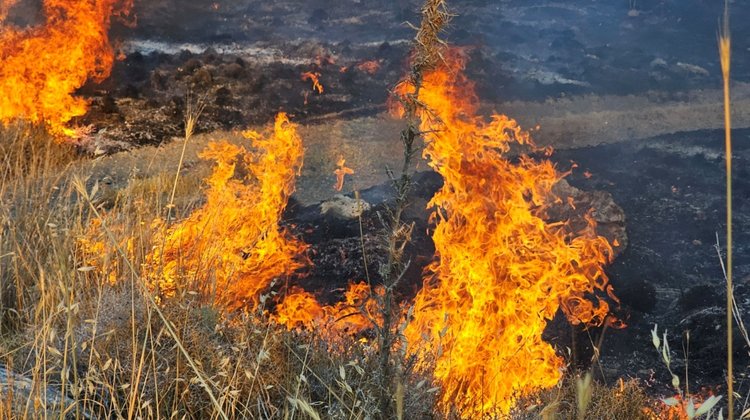 fire