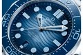 OMEGA_210.30.42.20.03.003_SEA_D300_dial