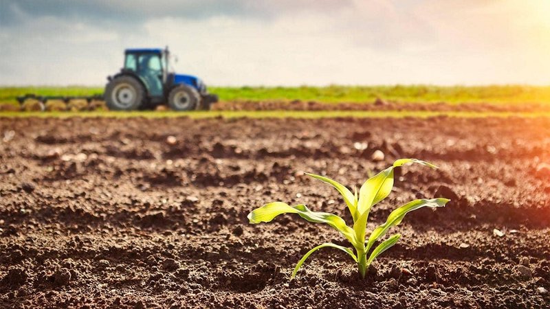 agriculture