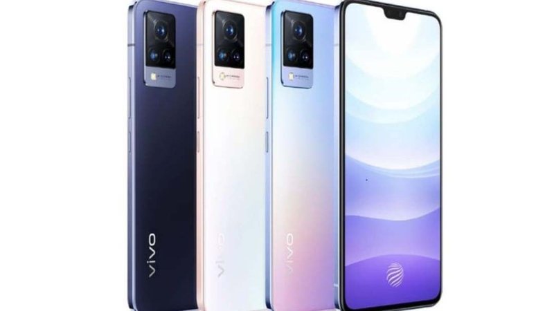 vivo