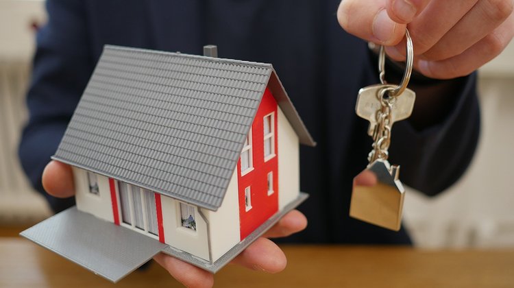 home house real estate