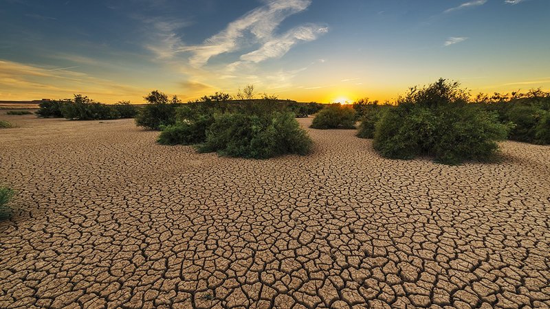 drought heat desert