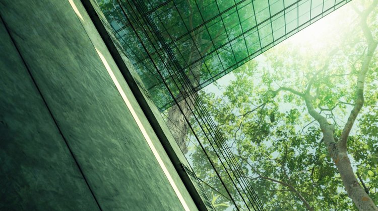 Bank of Cyprus Sustainability