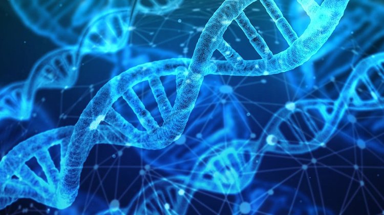 genetics