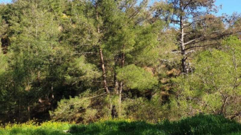 3.-Τρία-συνεχόμενα-χωράφια-στις-Κάτω-Πλάτρες
