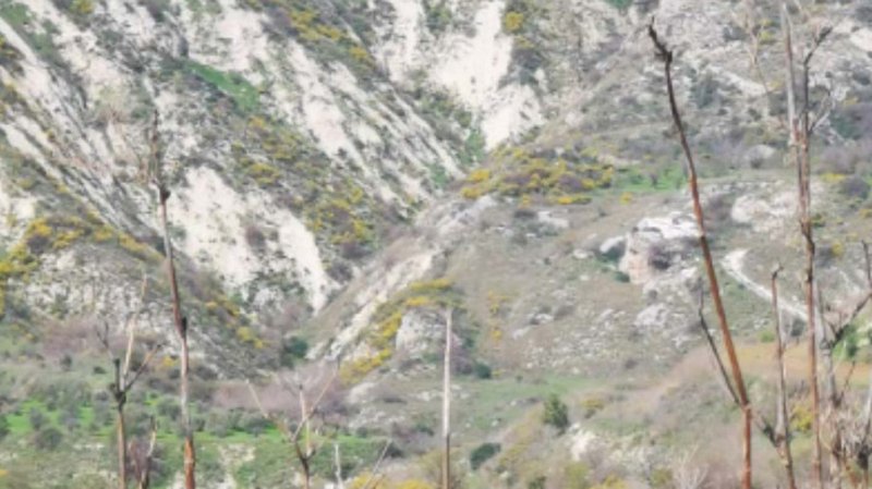 5.-Γεωργικό-χωράφι-στη-Θελέτρα-με-επιφυλασσόμενη-τιμή-€20,300