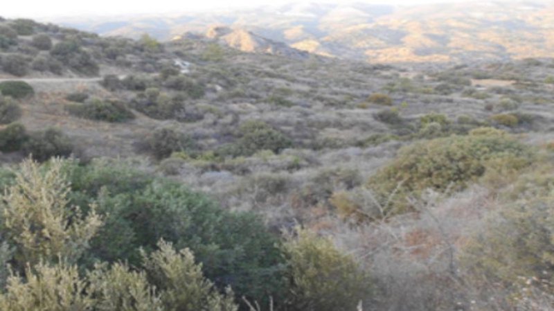 6.-Δύο-συνεχόμενα-γεωργικά-χωράφια-στην-Ασγάτα